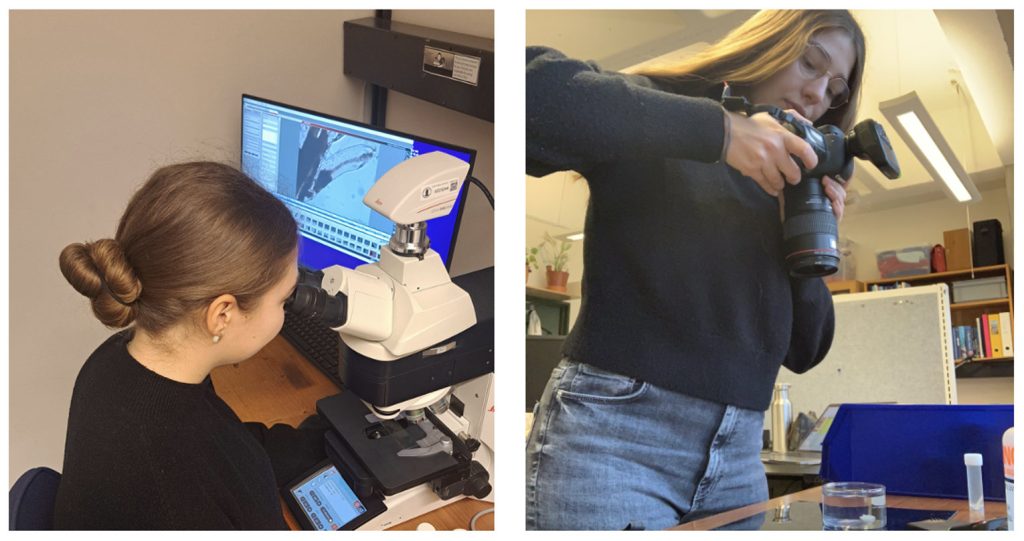 The author working in the lab; seen using a microscope with camera on top, and holding a DSLR camera