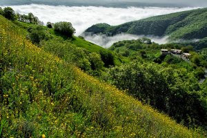 Sardasht - West Azerbaijan