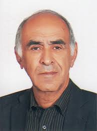 Professor Mansour Nikkhah Bahrami