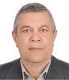 Professor S. Hossein Mansouri