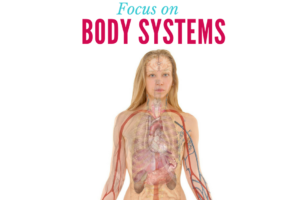 Focus on Body Systems