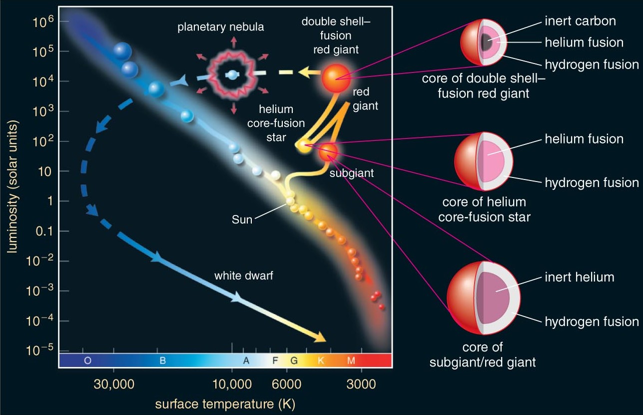 Evolution Of White Dwarf Stars