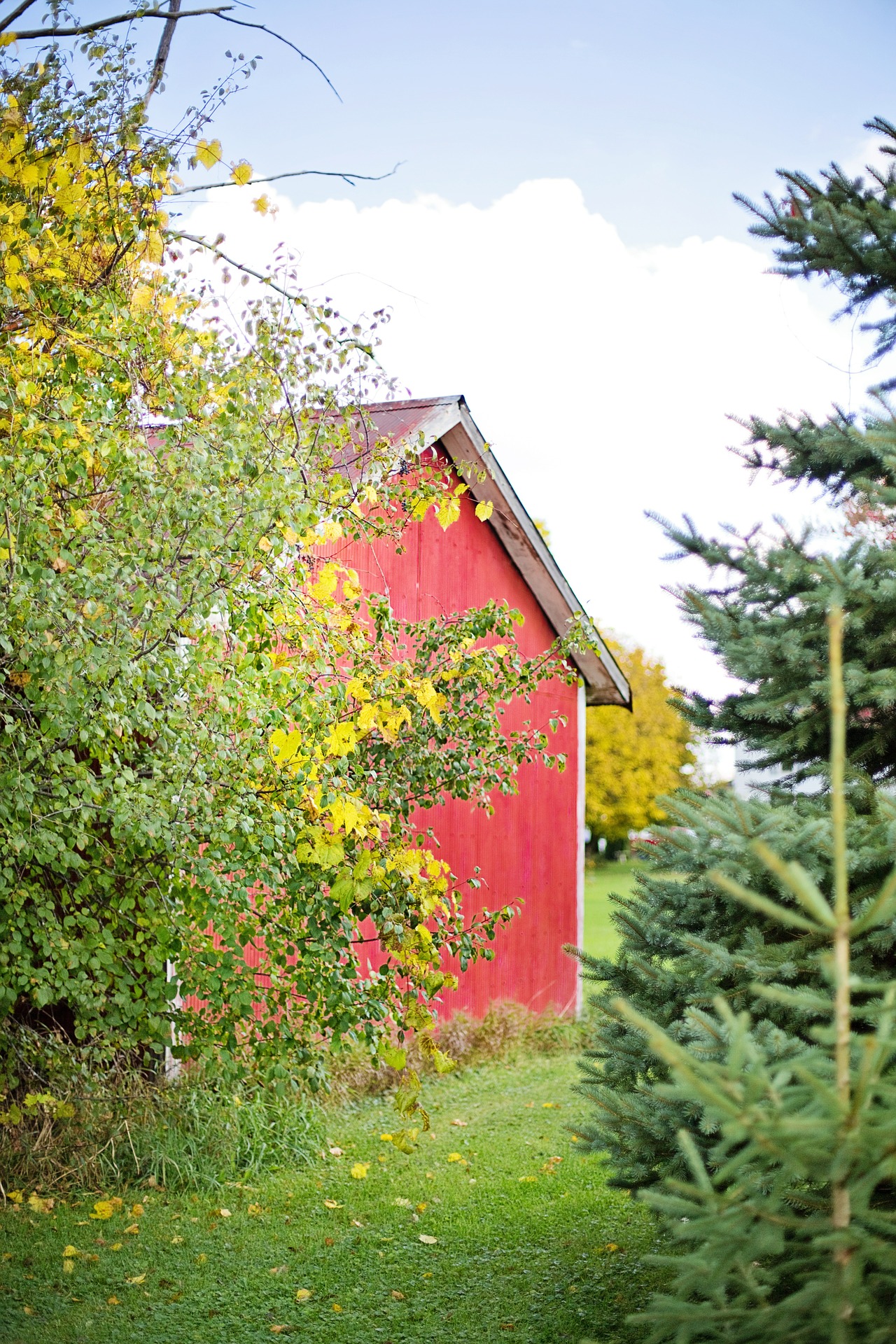 Wooden barn photo