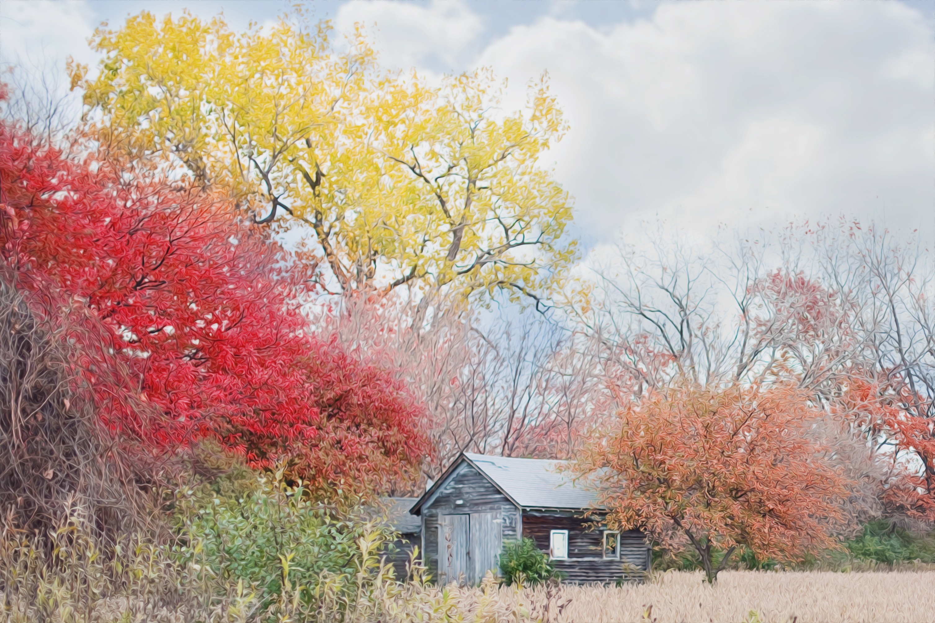 Wooden barn photo