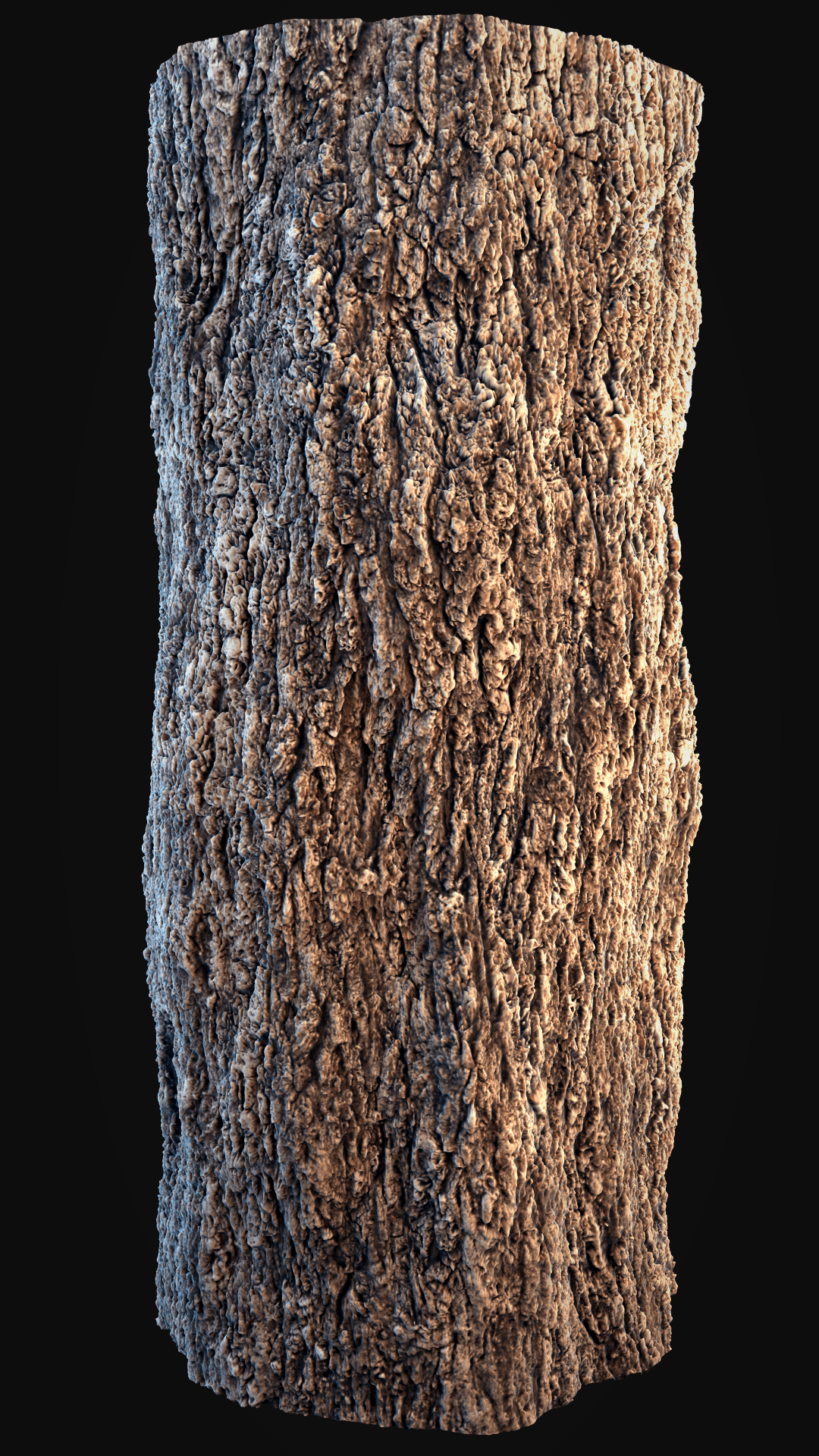 Bark texture photo