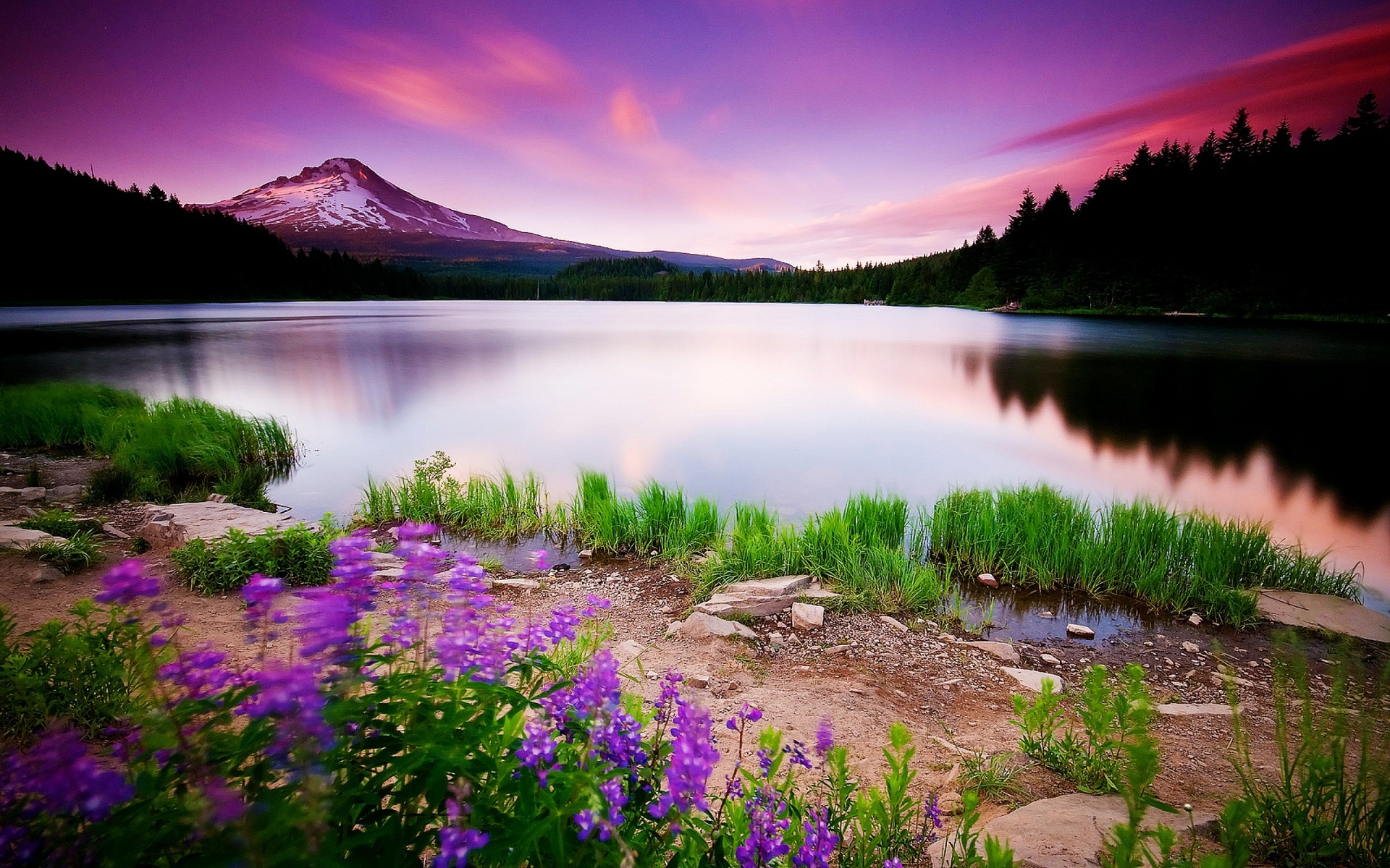 Beautiful landscape photo