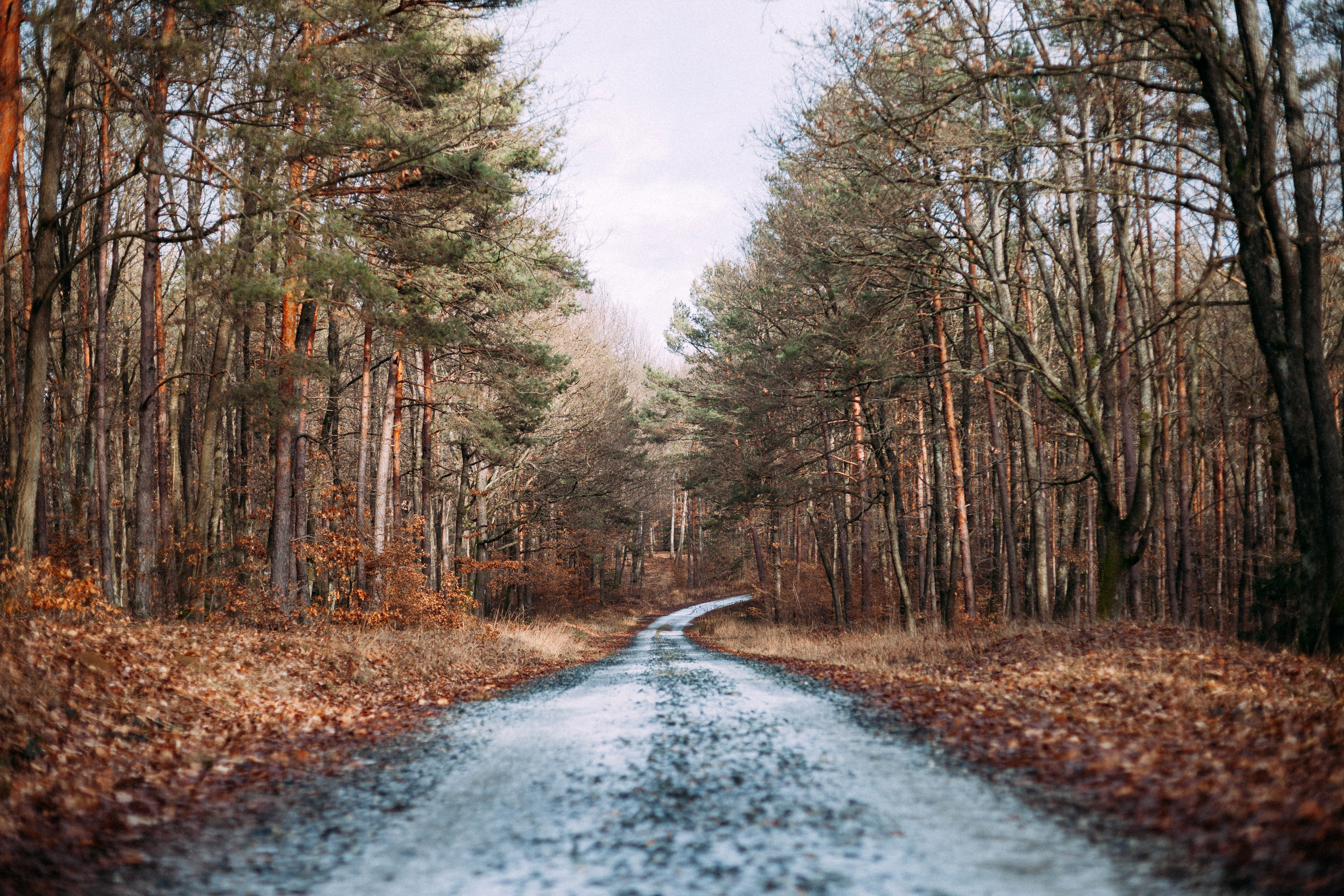 Beautiful landscape and Road image - Free stock photo - Public ...