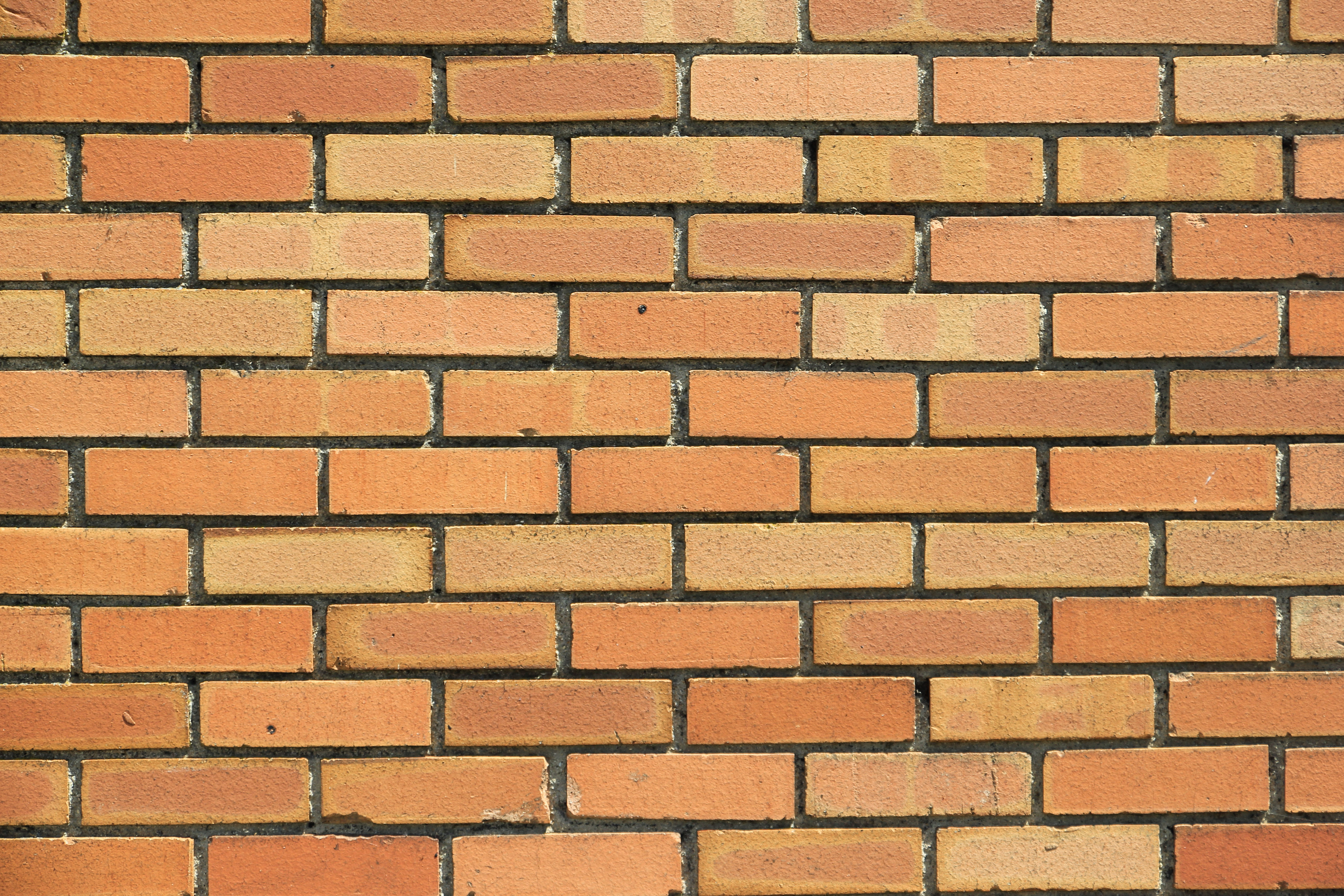 Brick wall photo