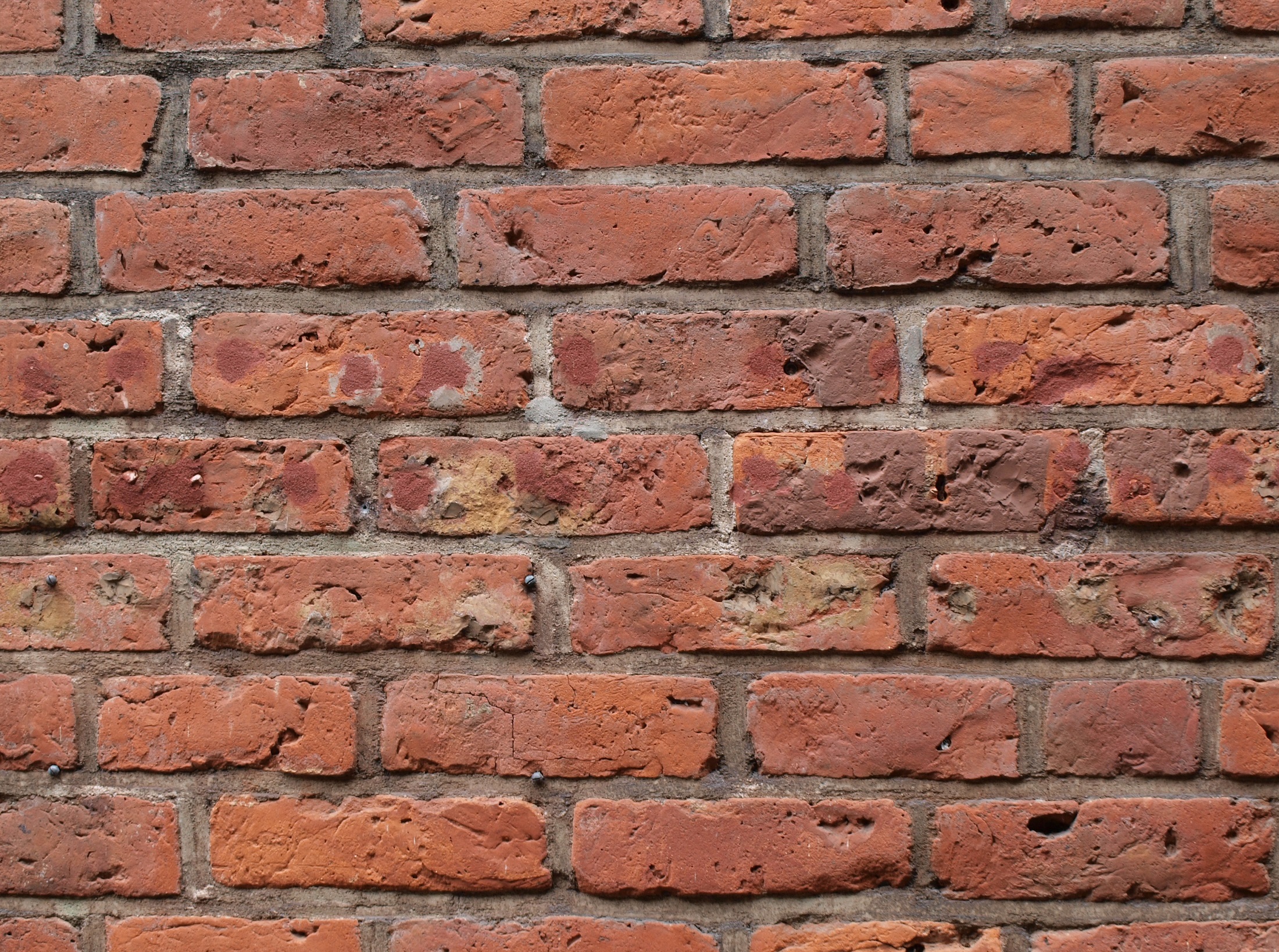 Brick wall photo