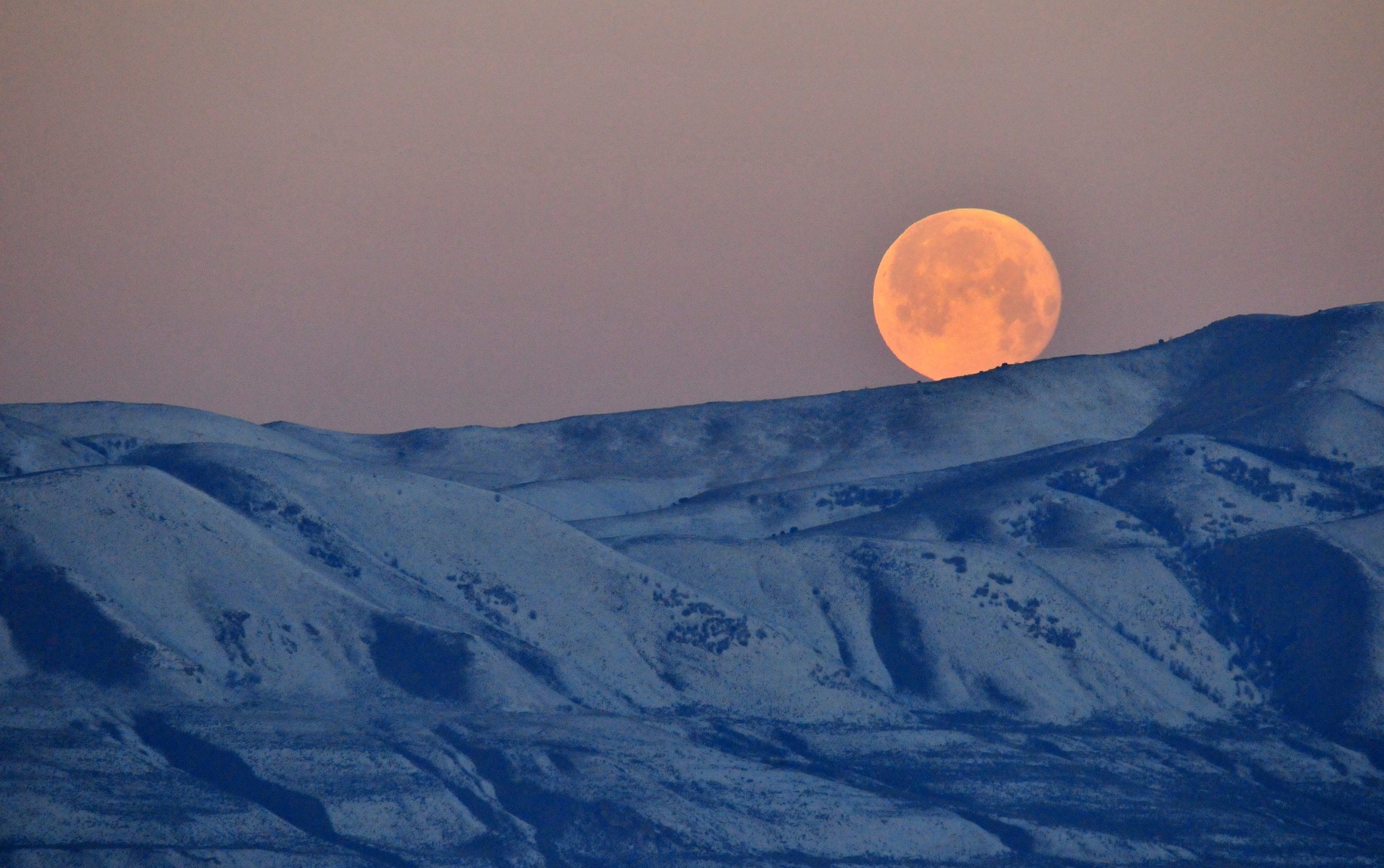 Full moon photo