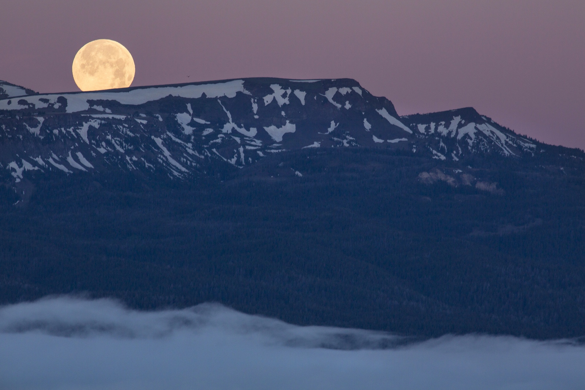 Full moon photo