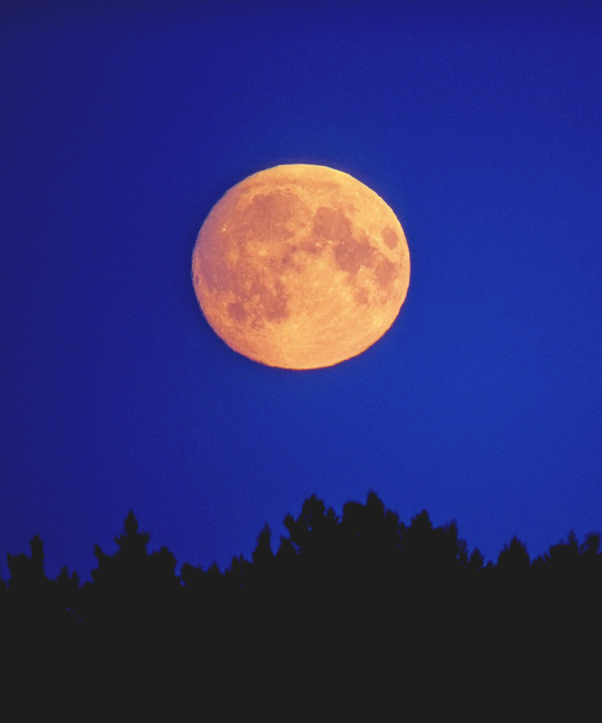 Lunar Phases Affect Horoscope Sign Full Moon In Aries