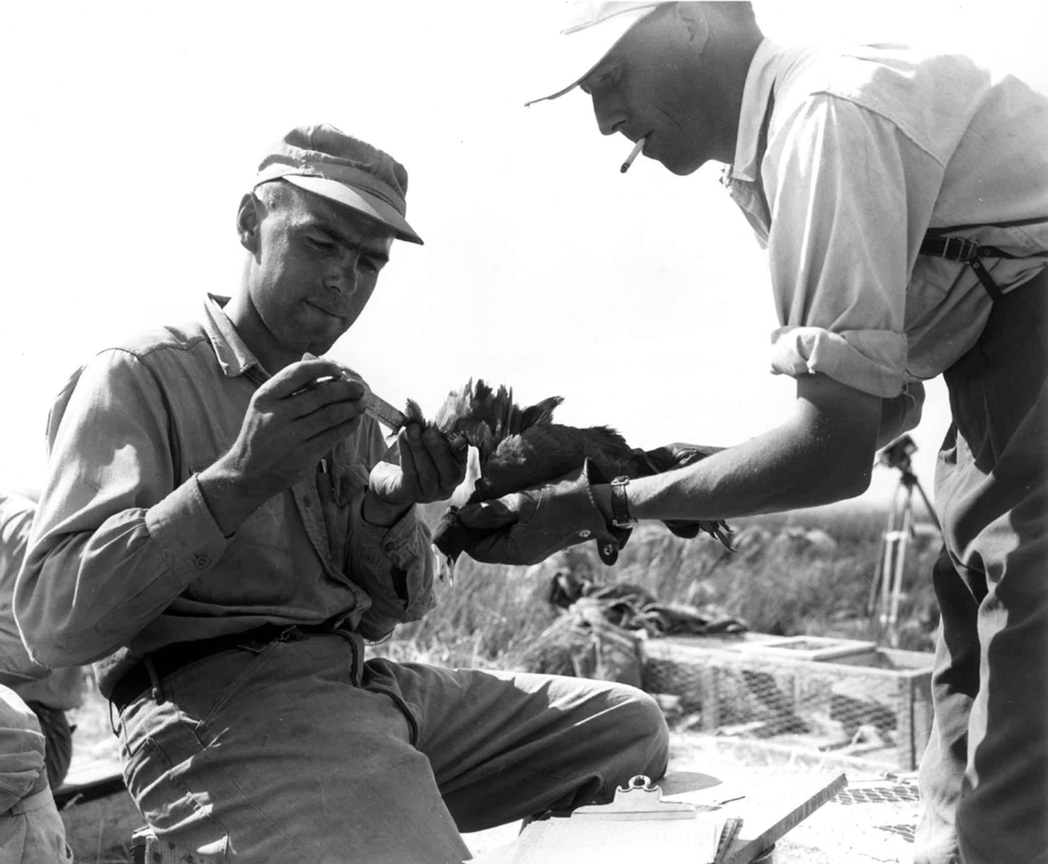 File:Men working together vintage photo.jpg - Wikimedia Commons