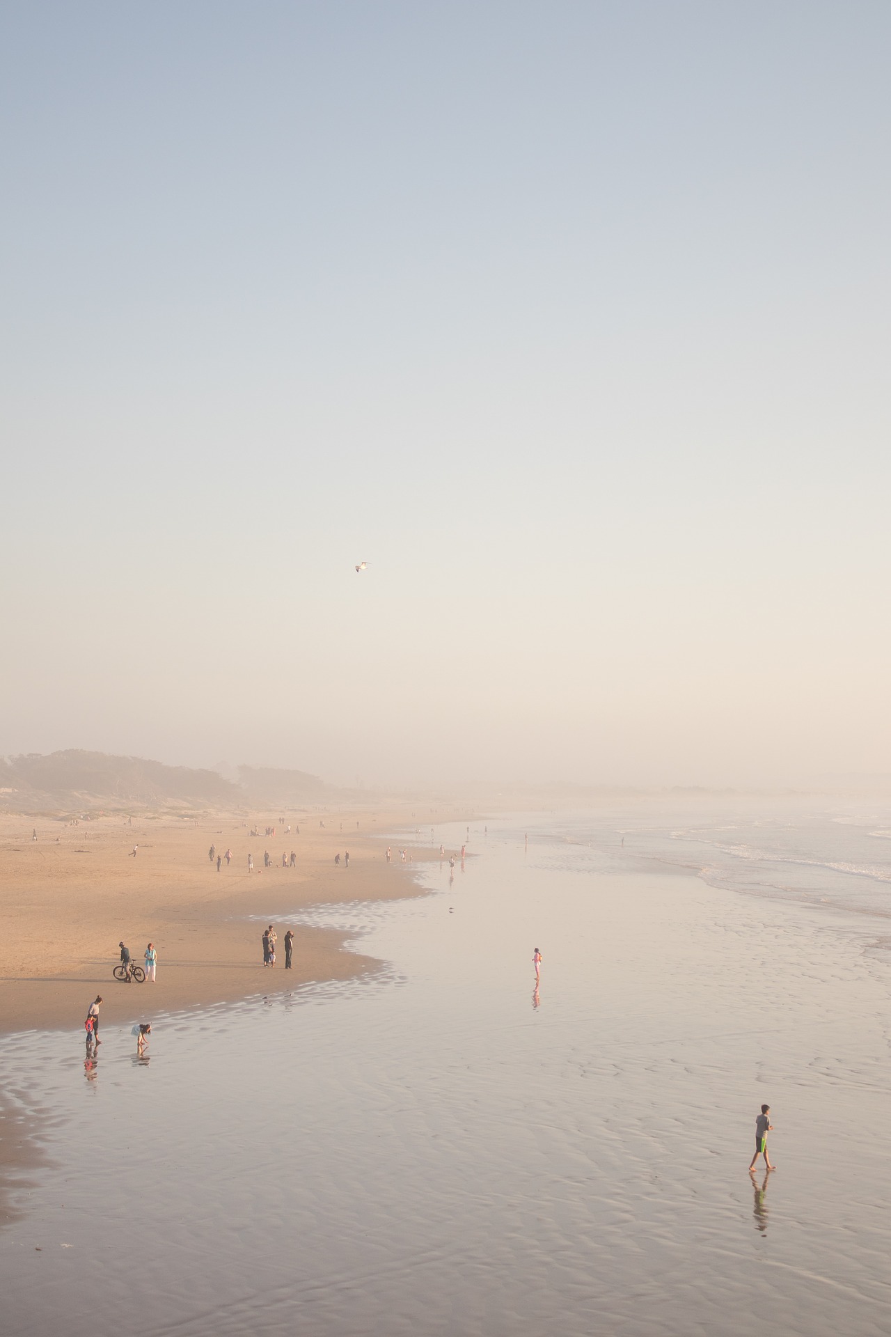 People on the beach photo