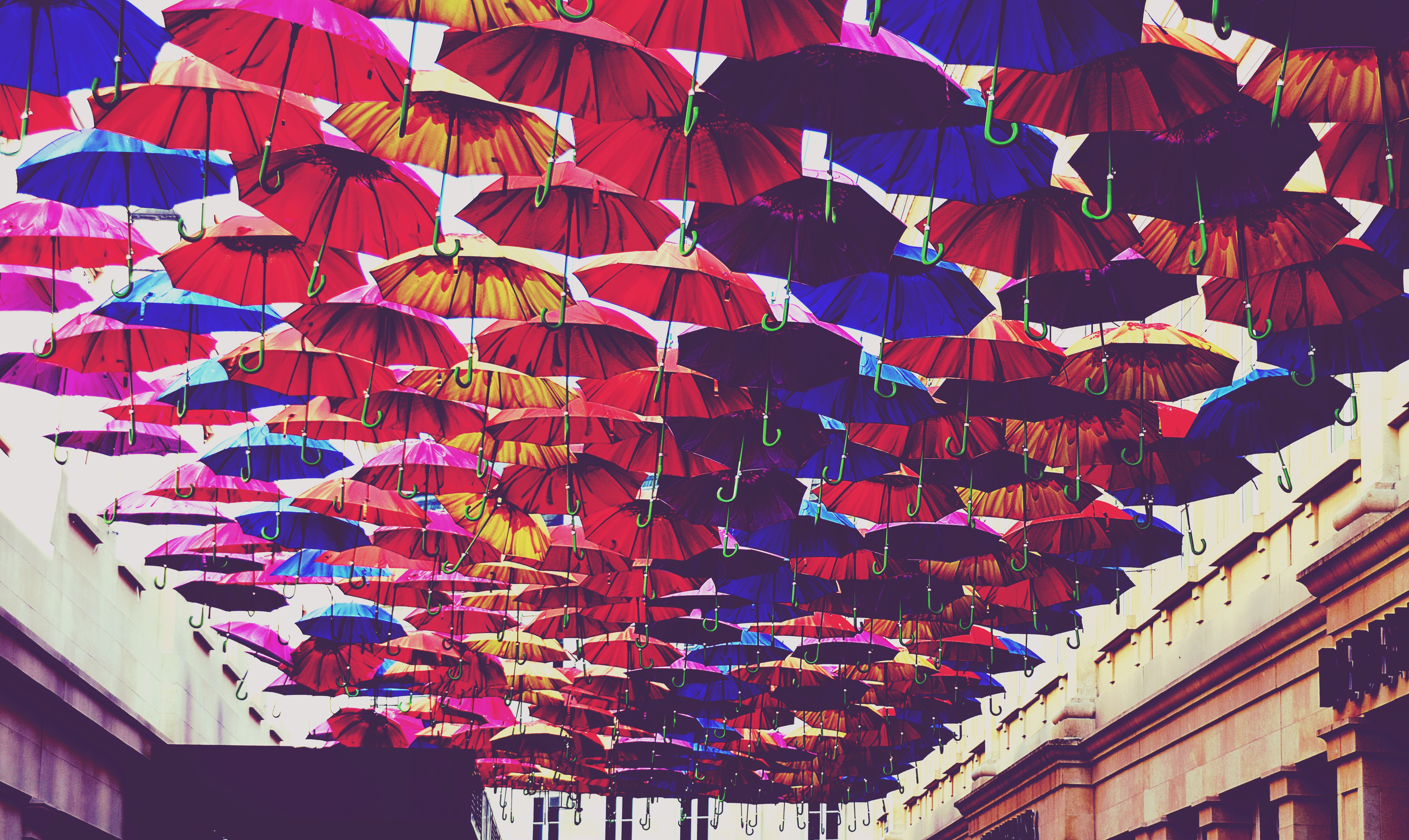 Red, blue, and orange umbrella lot photo