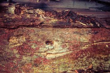 Colorful Grunge Wood Texture