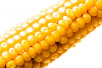 Corn