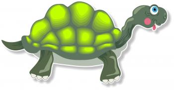 Cartoon Tortoise