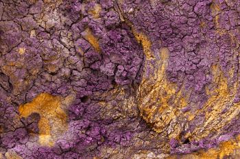 Charred Wood Texture - Purple Gold HDR