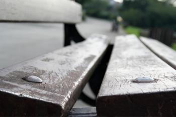 Bench closeup