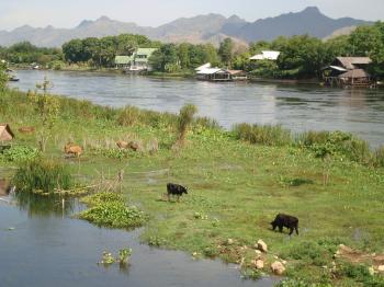 Kanchanaburi