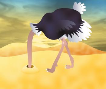 Ostrich Clipart