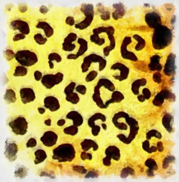 Leopard Print Texture