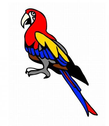 Parrot clipart