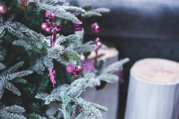 Pink Christmas Tree Decorations