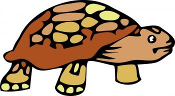 Tortoise Clipart