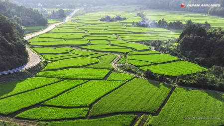 Agricultural Landscape