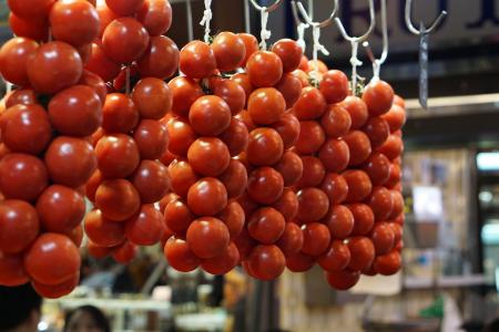 Hanging Tomatoes