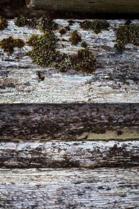 Old Wooden Fence Texture