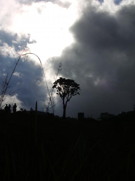 SRI LANKA- UPCOUNTRY SCENE