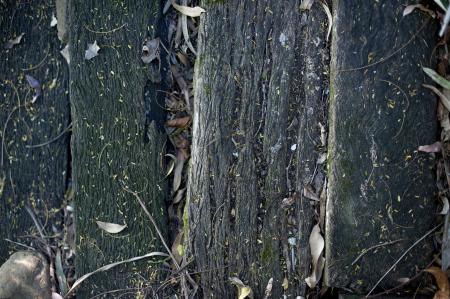 Rotting Wooden Background