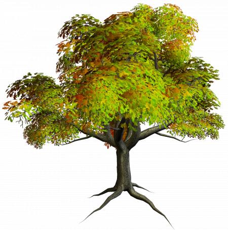 Tree Clipart