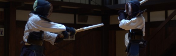 Kendo Shinai