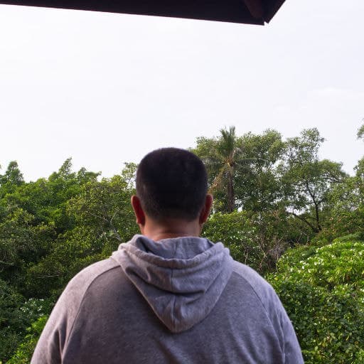 A man is looking around the bird park at the top of the tower.