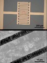 Interdigitated electrode