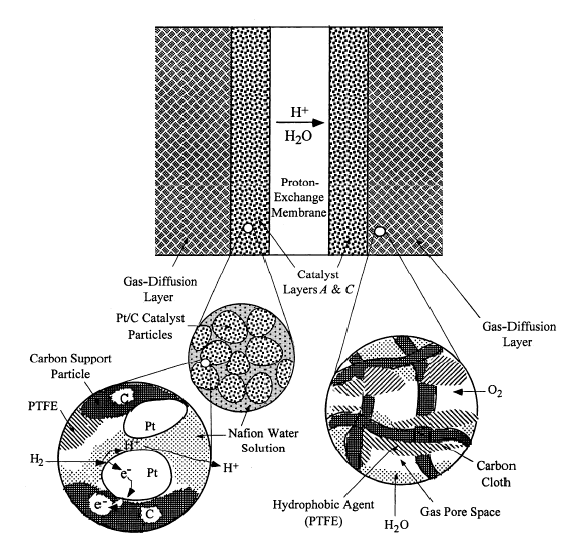 Cross section