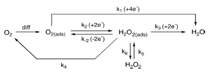 ORR pathways