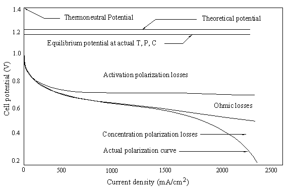 Polarization losses