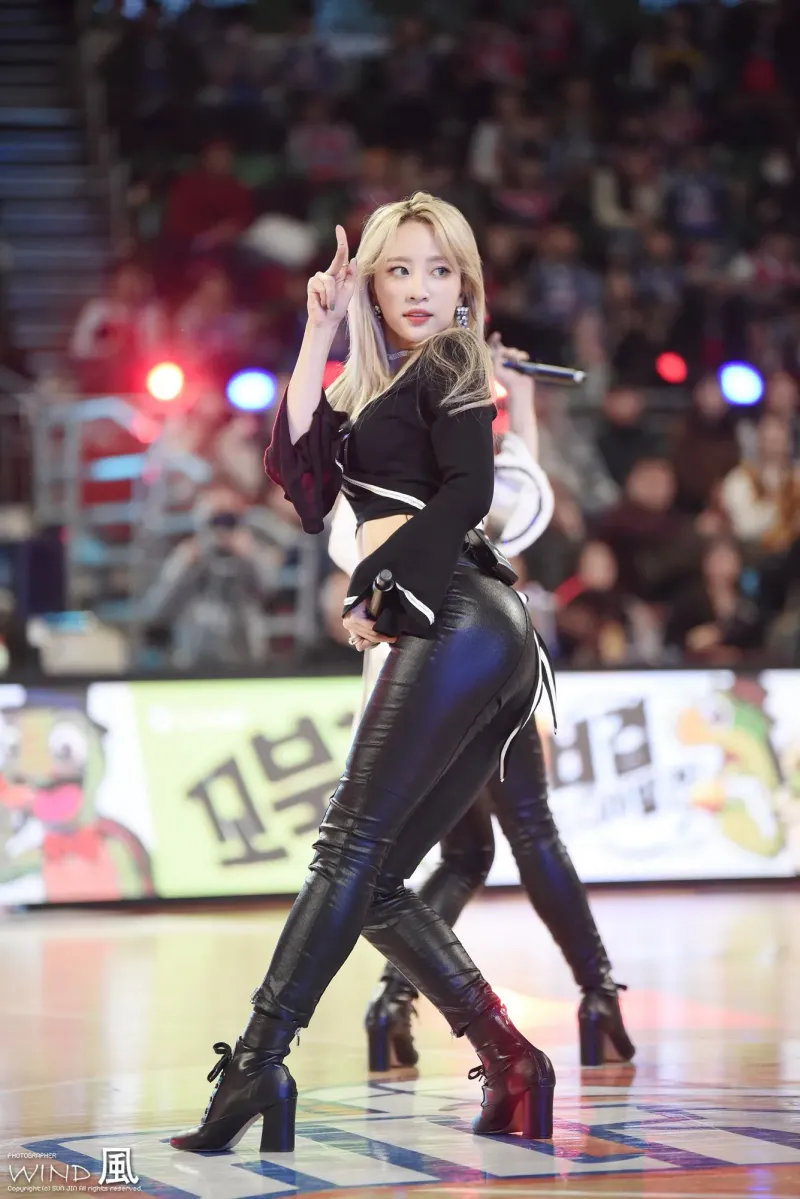 Hani1131.jpg