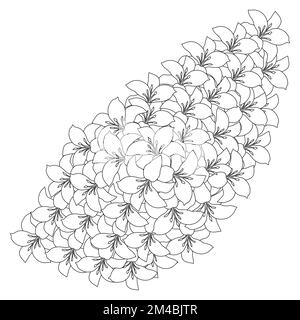 lily flower and lilium flower coloring page outline decorative line art vector graphics Stock Vector