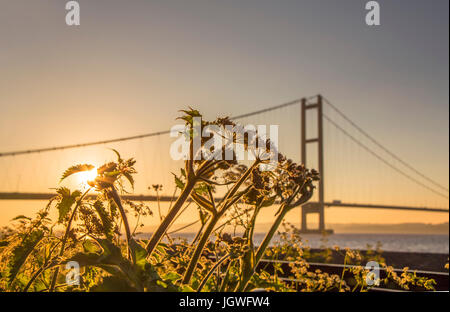 Humber Bridge Sunset Stock Photo