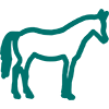 horse icon