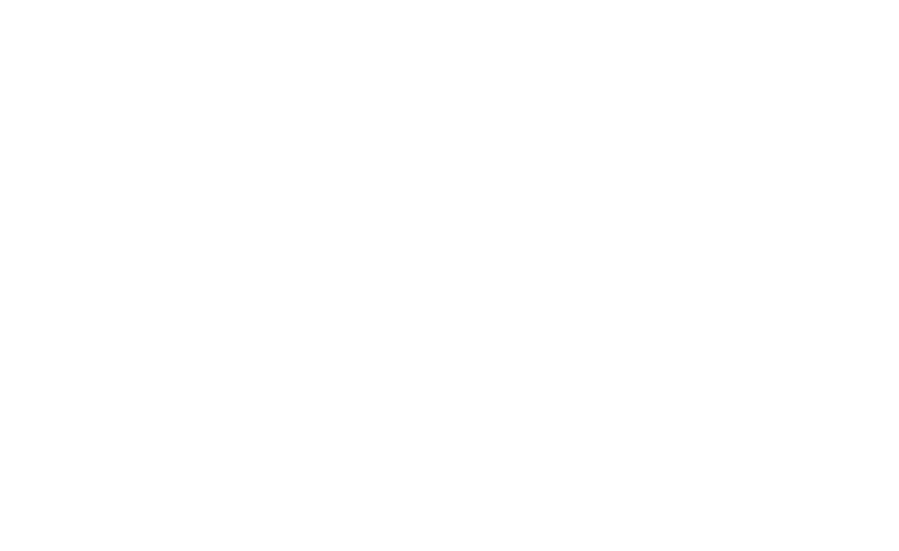 Logo INP