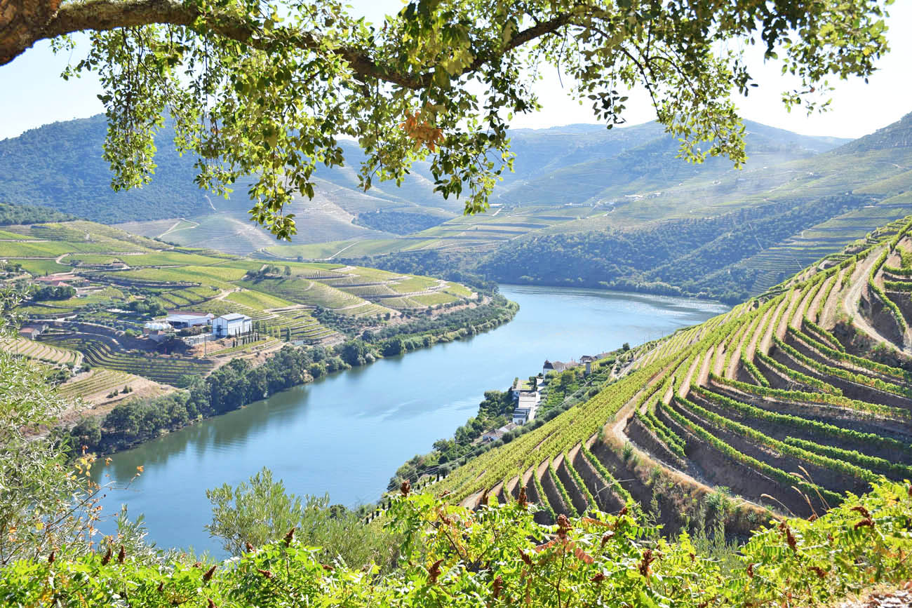 dicas do douro - portugal - vinhos - Lala Rebelo