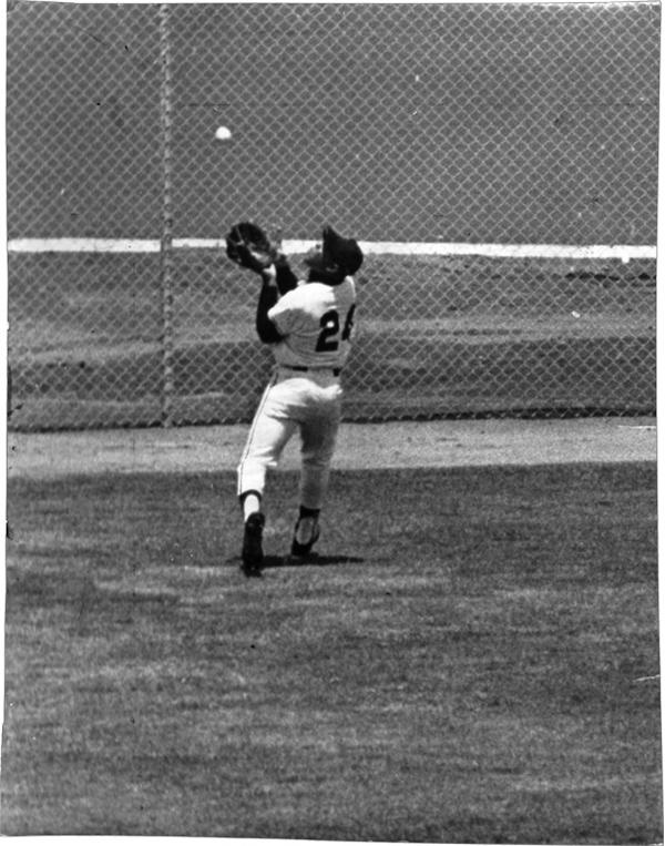 Willie Mays - Basket Catch