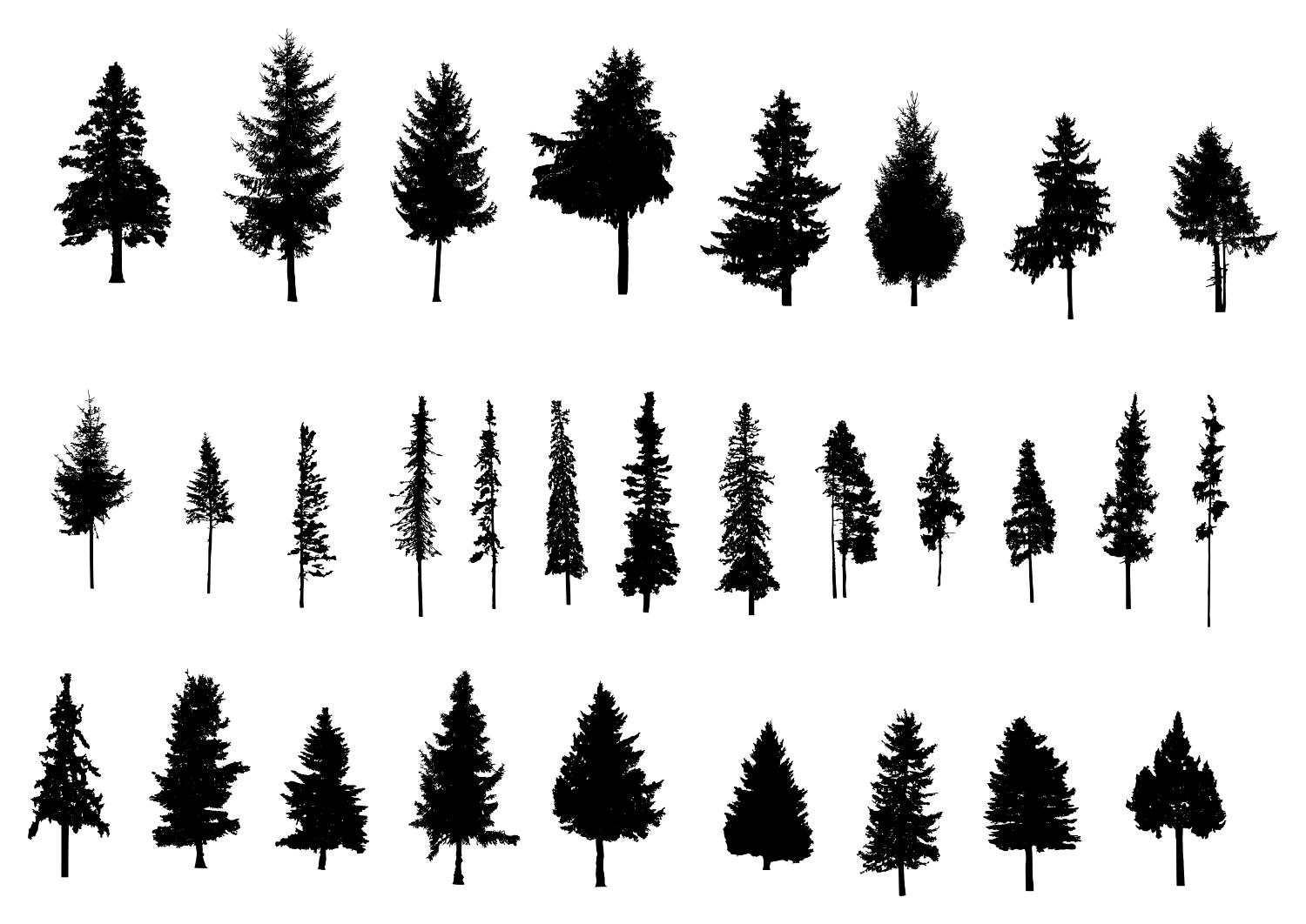 Download 30 Pine Tree Silhouette (PNG Transparent) Vol. 2 | OnlyGFX.com